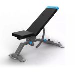 ProForm Carbon Adjustable Utility Bench
